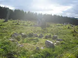 The stone circle