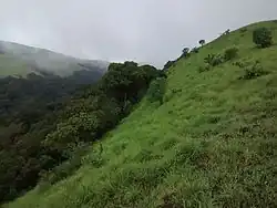 On top of the Kodachadri mountains.