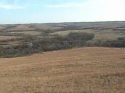 The Konza in winter.