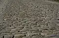 Closeup of the Koppenberg's cobblestones