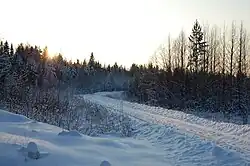 Forest railway