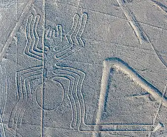 The Spider (la Araña)[66]