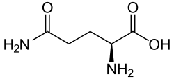 L-Glutamine (Gln&nbsp;/&nbsp;Q)