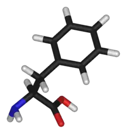 3D structure of L-phenylalanine