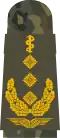 Generalober­stabsarzt (Human medicine)
