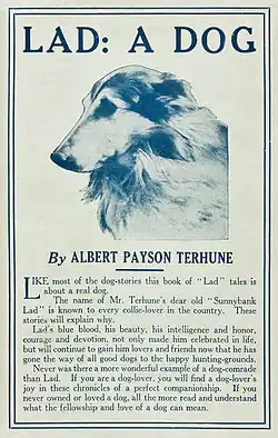 Original dust jacket for the book
