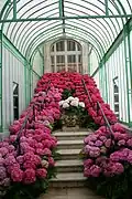 Staircase to the Palm Pavilion