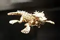 Gold alligator with feline face