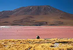Laguna Colorada, Quetena Grande