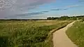 The naturepath around Årslev Engsø lake