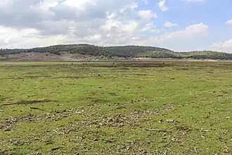 A large green field.