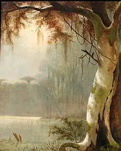 Lake Maurepas Bayou, 1880