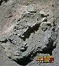 Burial 3 - Excavation at phase 1.