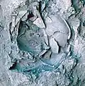 Burial 7. Excavation at exposition 10.