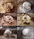 Burial 14 - Multiple views during excavation process.