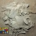 Burial 15. Excavation at exposition 4.