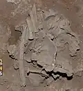 Burial 15. Excavation at exposition 9.