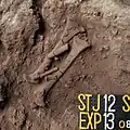 Burial 19. Excavation at phase 13.