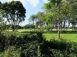 A view on a golf course with some trees and sand banks seen. A putt area is seen to the left, behind the tree