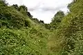 Lion Pit