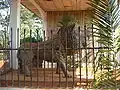 Lion guarding the entrance to the Chefferie