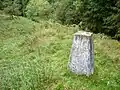 Little Doward trig point