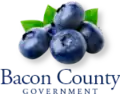 Official logo of Bacon County