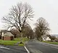 Allt-yr-yn Avenue