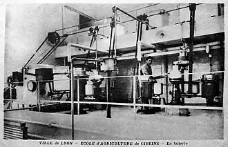 Cellar and dairy