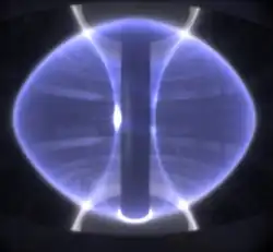Plasma in a tokamak