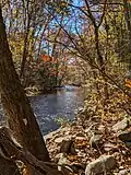 The Eightmile River above Joshuatown Road.