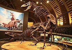 Jurassic Museum of Asturias