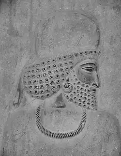 Relief of a Median man at Persepolis.