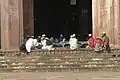 Madrasa in the mosque