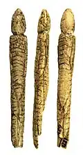 Elongated figurine with hooded, decorated, overall and traces of paint.[12]