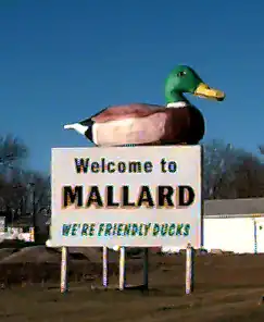 Greeting sign outside Mallard, Iowa, which reads: "Welcome to Mallard, We're Friendly Ducks".