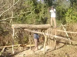 Manaung Township Timber Business