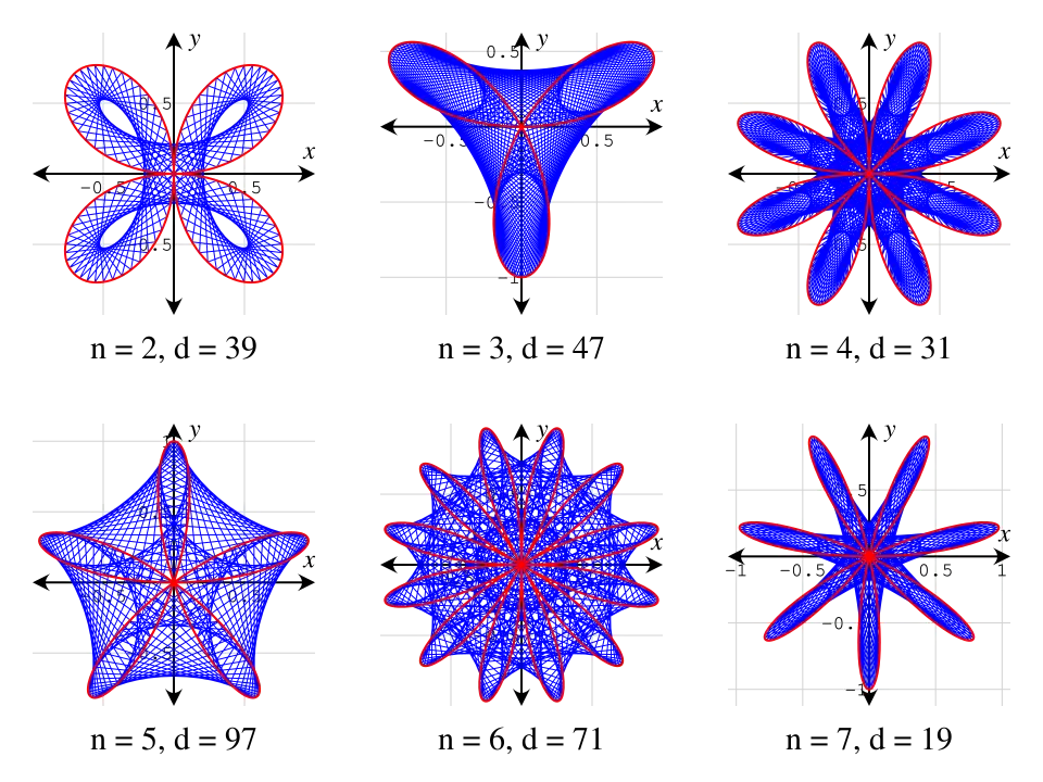 Maurer rose