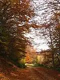 Mountain Medvednik in autumn