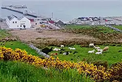 Pier at Meenlaragh