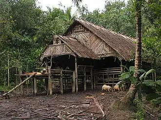 Uma longhouse traditional vernacular houses of Mentawai people