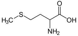L-Methionine (Met&nbsp;/&nbsp;M)