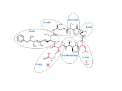 The chemical composition of microcystin-LR, made up of 7 amino acids