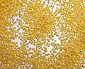 Millet grains.