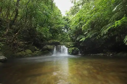 Falls in Sitio Alimatoc, Barangay Celestino Villacin