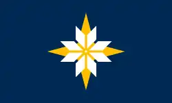 F29 – "Starflake",[45] designed by Brandon Hundt, eliminated on December 13[46][44]