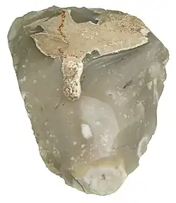 A hand axe made of Miorcani flint from the Cenomanian chalky marl layer of the Moldavian Plateau (c. 7.5&nbsp;cm wide)