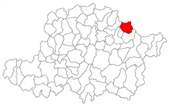 Location in Arad County