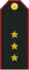 Ахлах дэслэгч Akhlakh deslegch (Mongolian Ground Force)[15]