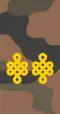 Mongolian Army-LTC-field 1998-2011